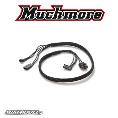 Special Lipo and LiFe 2S TX/RX Balance Charging Lead (XH60 with