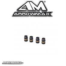 4MM Alu Nut For 1/10 Set-Up System Black Golden (4)