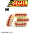 LaserFoam 1.9 R106 FT Pro Starter-Set HD