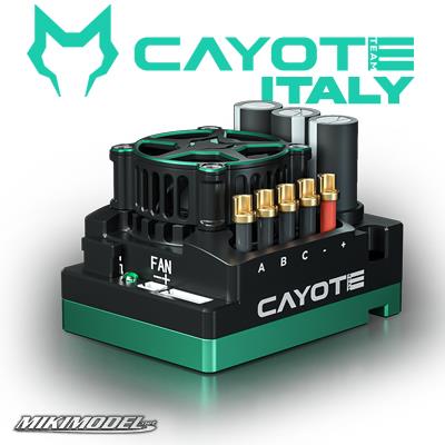 CAYOTE Racing CREST 8 Speed Controller ESC 1:8 200A
