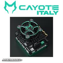 CAYOTE Racing CREST X Speed Controller ESC 160A
