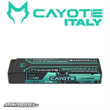 CAYOTE Racing 6800mAh 2s batteria Lipo 7,6V 145C 249g