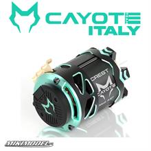 CAYOTE Crest Modi 4.5T motore Brushless