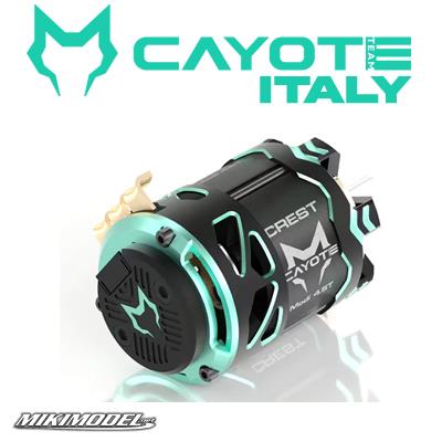 CAYOTE Crest Modi 4.5T motore Brushless