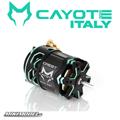 CAYOTE Crest Modi 4.5T motore Brushless
