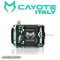 CAYOTE Crest Modi 4.5T motore Brushless