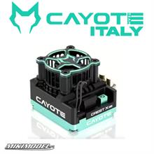 CAYOTE Racing CREST X EVO Speed Controller ESC 160A