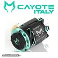 CAYOTE Crest STOCKI 13.5T motore Brushless