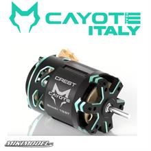CAYOTE Crest Stocki 21.5T Motore Brushless