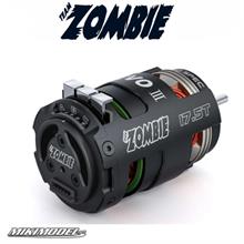 TEAM ZOMBIE EVOLUTION III PRO SPEC STOCK CLASS 17.5T