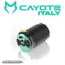Motore Cayote 1/8 motor 2800KV