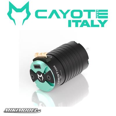 Motore Cayote 1/8 motor 2800KV