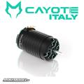 Motore Cayote 1/8 motor 2800KV