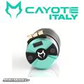 Motore Cayote 1/8 motor 2800KV