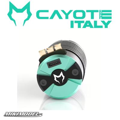 Cayote 1/8 motor 2500KV