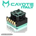 Regoaltore CAYOTE Racing ESC CREST 8 Evo