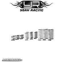 Desert Lizard DDL 110mm Spring Set