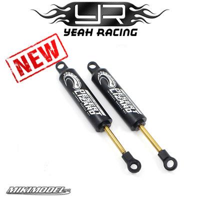 Ammortizzatori 100 mm DESERT LIZARD doppia azione neri