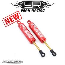 Ammortizzatori 100 mm DESERT LIZARD doppia azione rossi