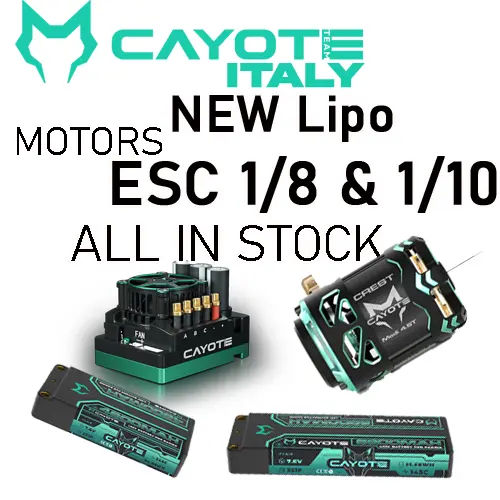 cayote